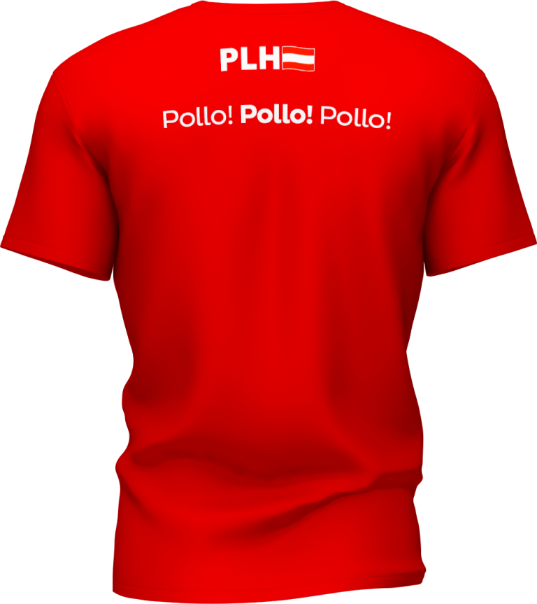 Camiseta "Yo Voto por el Pollo" - Imagen 2