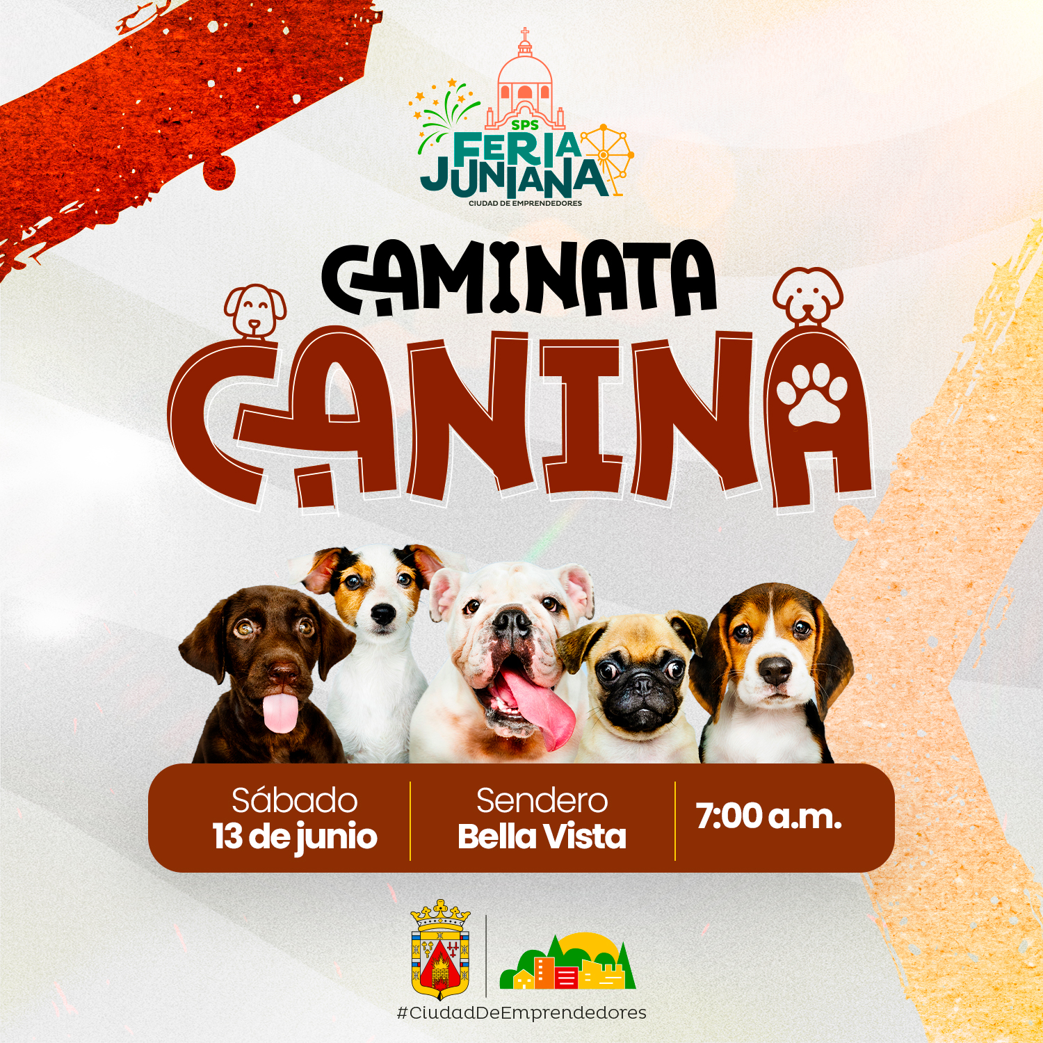 Caminata Canina